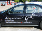 Acupuncture - Cut vinyl graphics for car