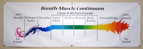 Voice Care Network Instructional Banner